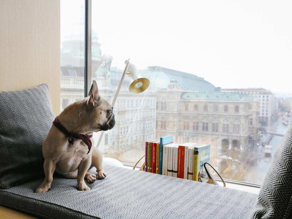 The Hotel Wien